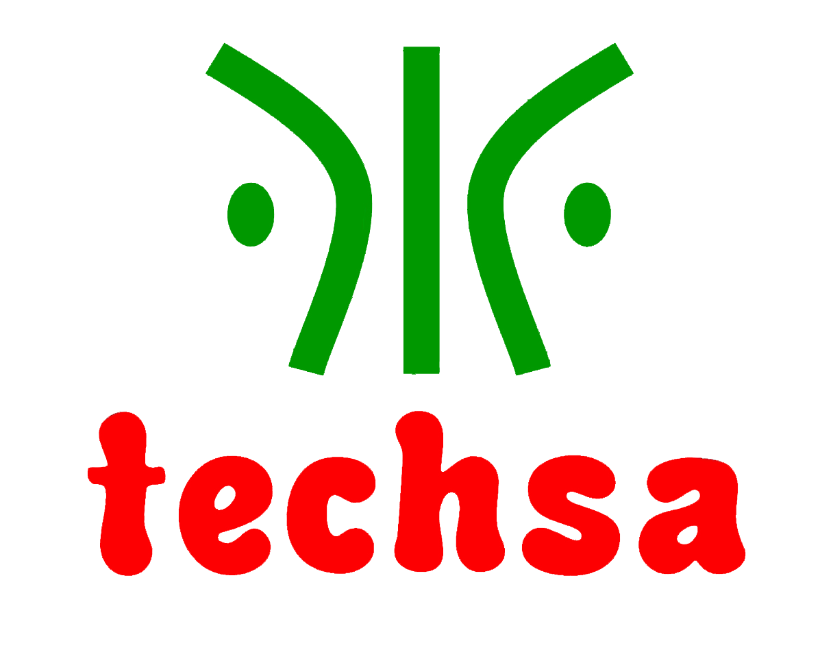 Techsa Logo